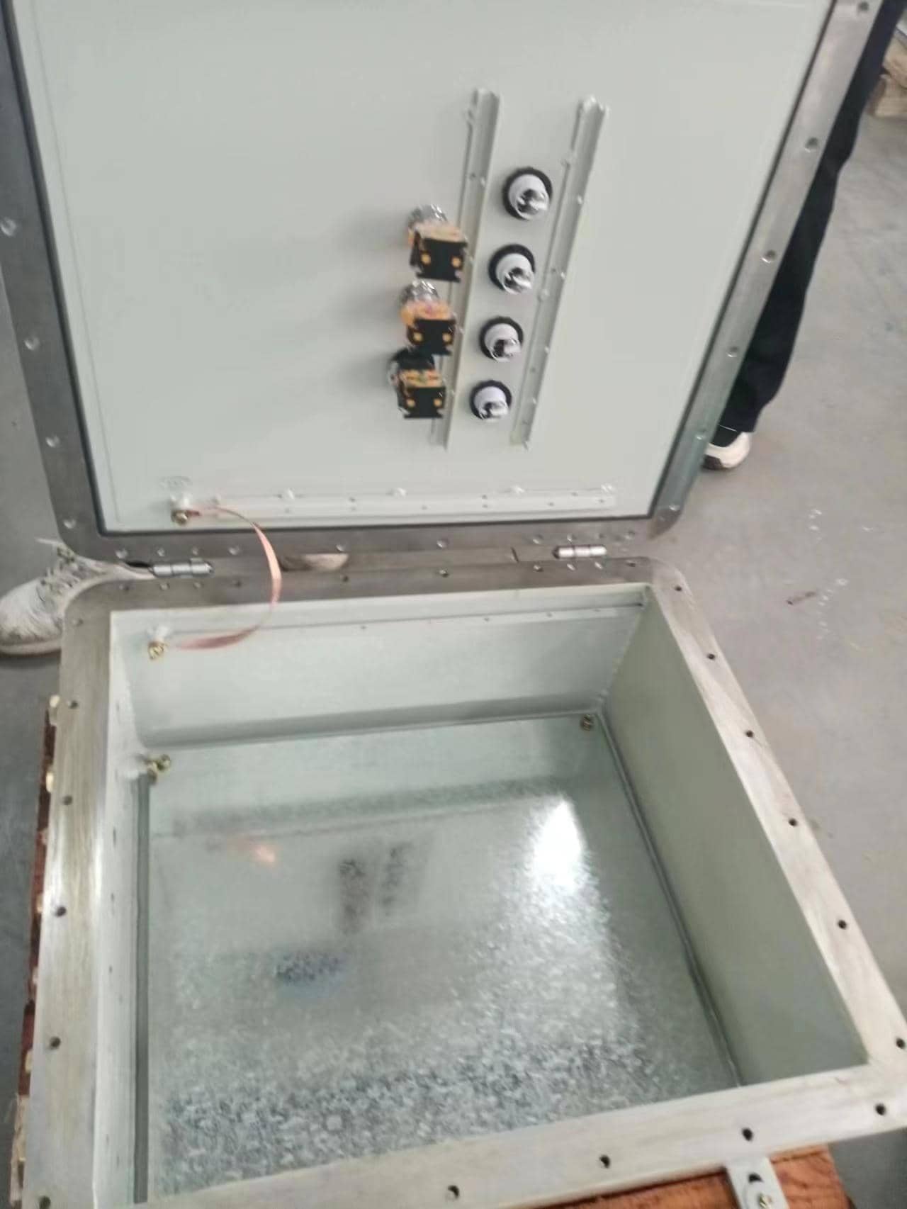 �Ռ������䚤�w���ӹ����N���|(zh��)��